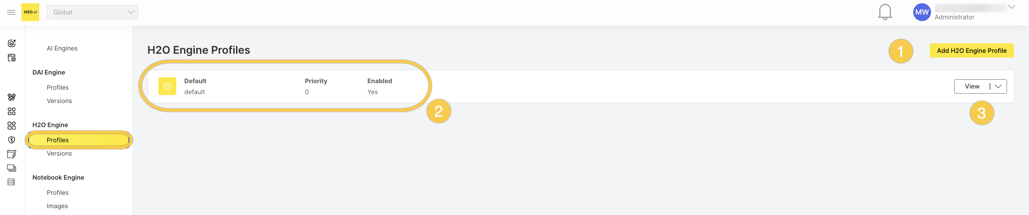 H2O Engine Profiles list showing one profile. Callouts: (1) Add H2O Engine Profile button, (2) a profile row, (3) View button with dropdown menu.