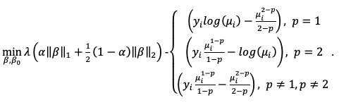 Tweedie objective function to minimize with penalty term