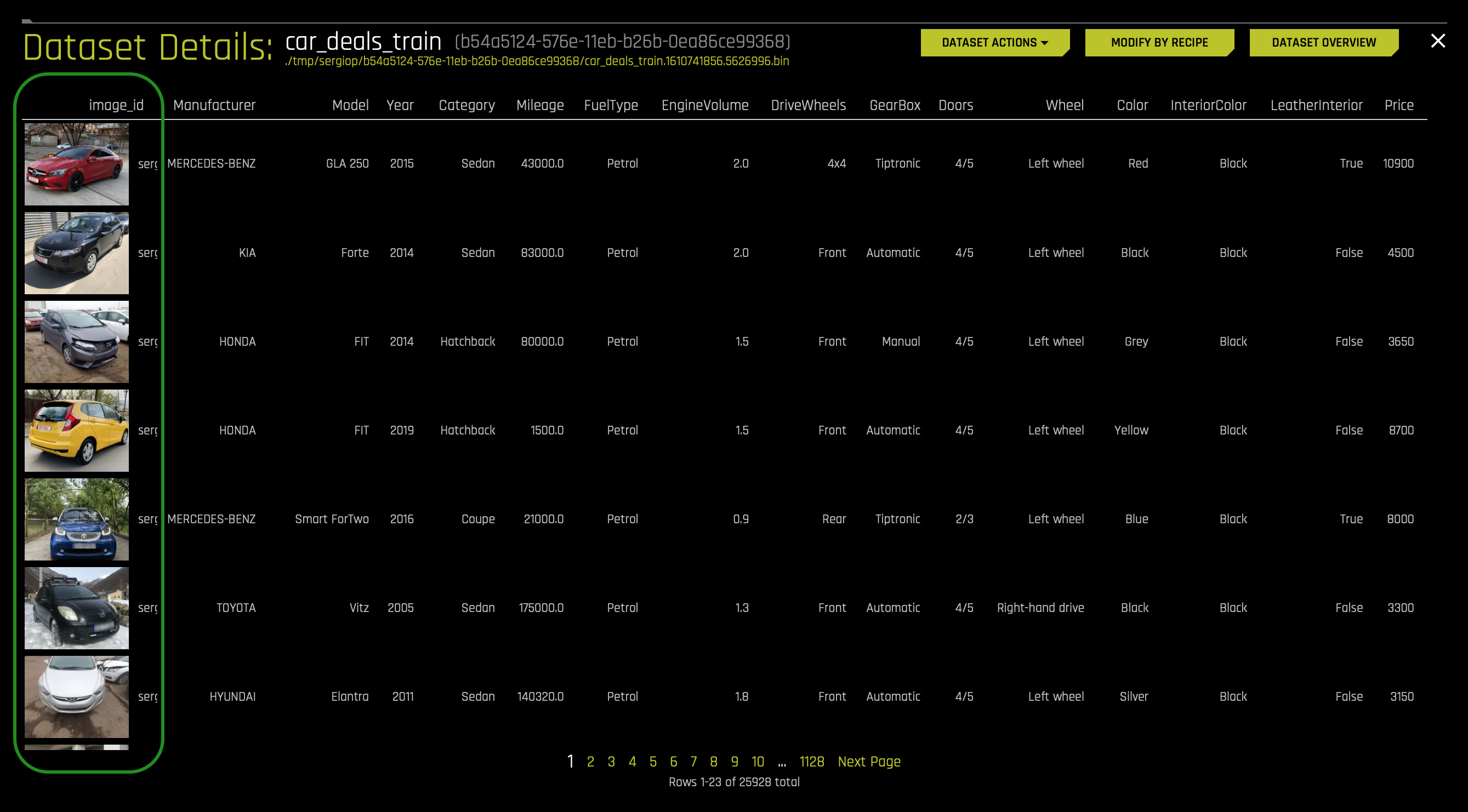 car-delas-dataset-details