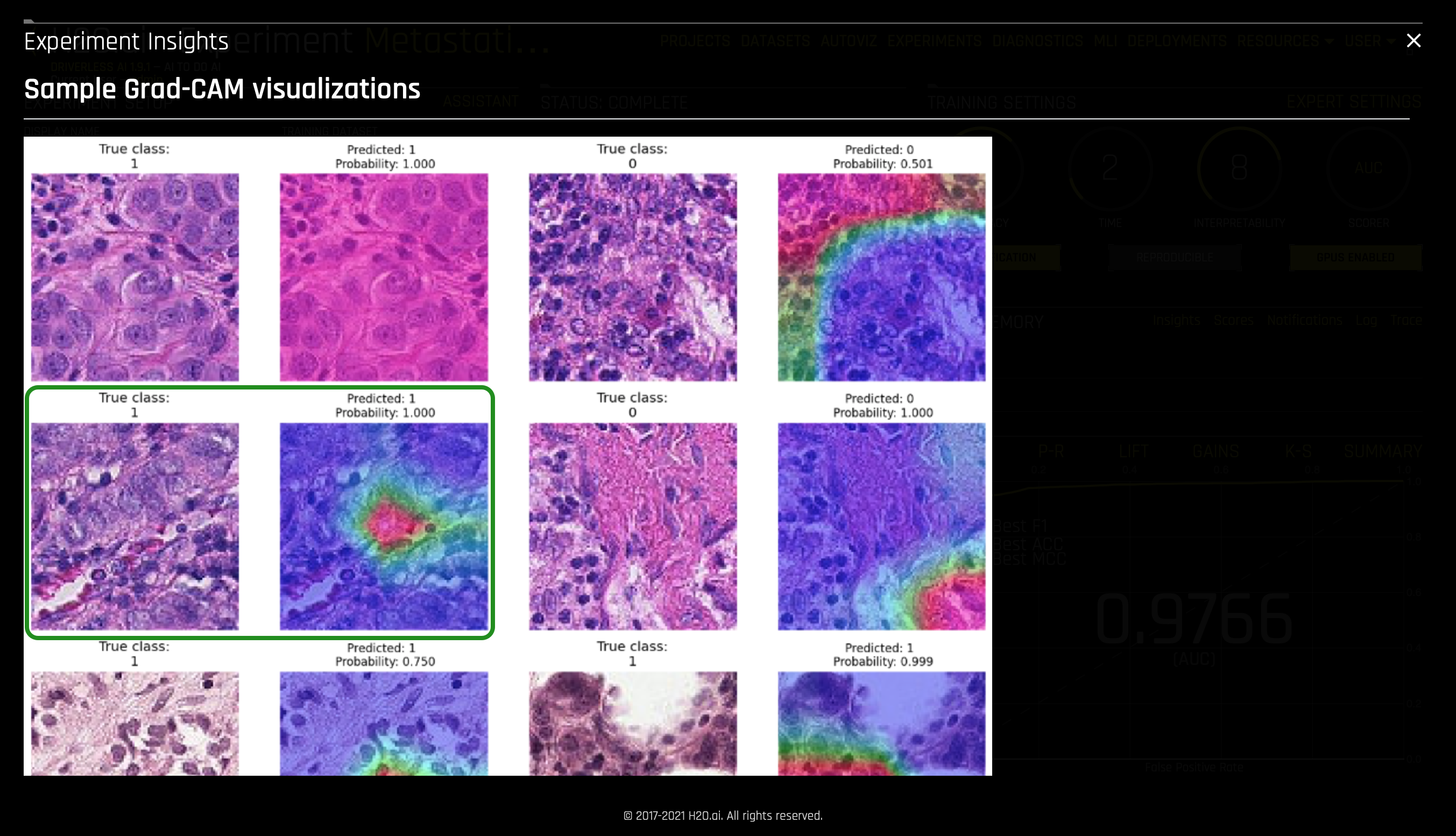 sample-grad-cam-visualization